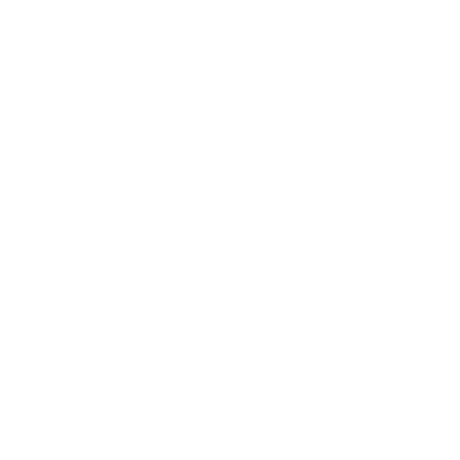 customizable options